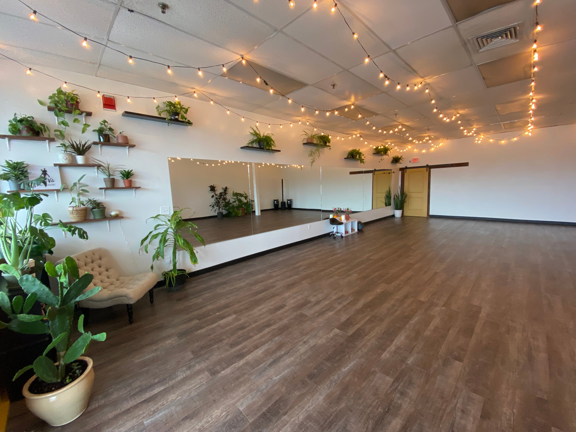 Bella Vita Dance Studio - main dance floor with string lights and plants